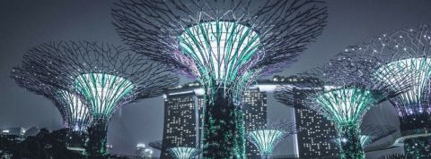 Singapour Gardens by the bay à Singapour