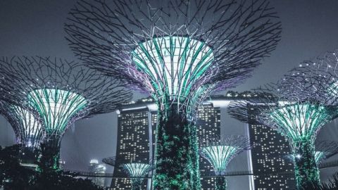 Gardens by the bay à Singapour