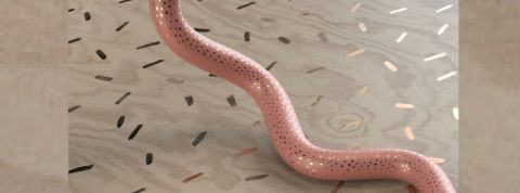 andreas Une réalisation du designer suédois Andreas Wannerstedt