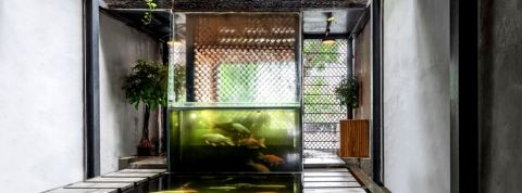 cafe-koi cafe aquaponique