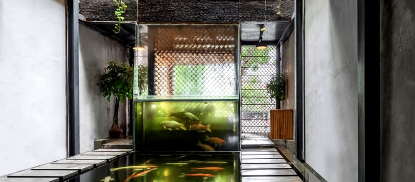 cafe-koi cafe aquaponique
