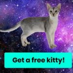 Une illustration provenant de CryptoKitties, le réseau qui permet de gagner de l'Ether grâce à des chats virtuels