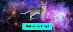 Une illustration provenant de CryptoKitties, le réseau qui permet de gagner de l'Ether grâce à des chats virtuels