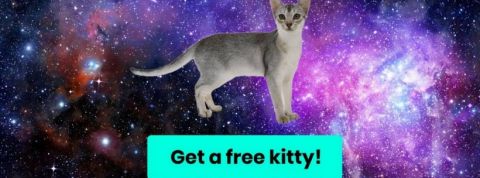 cryptokitties Une illustration provenant de CryptoKitties, le réseau qui permet de gagner de l'Ether grâce à des chats virtuels