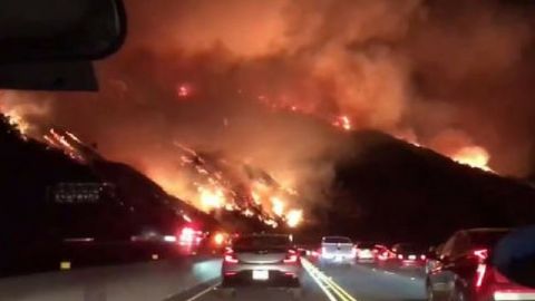 conducteur qui a pris lincendie de bel air en photo