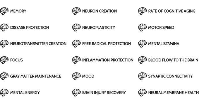 propriétés cerveau