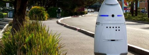 robot-k9 un robot dans la ville