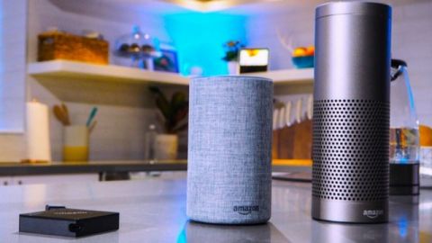 Amazon Echo assistant vocal