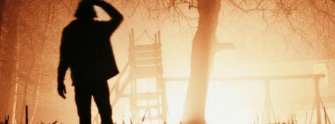 homme devant une foret en feu