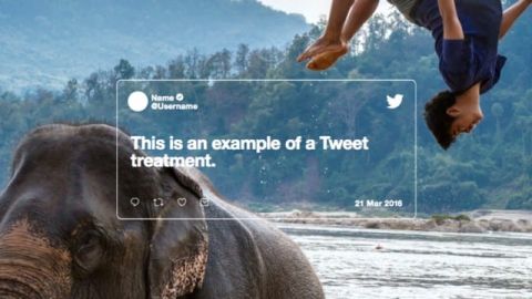 enfant sautant d'un éléphant