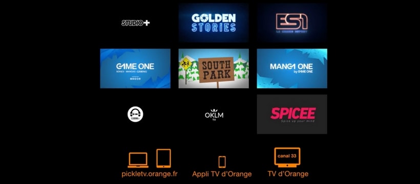 PickleTV arret sur image de la publicite de PickleTV