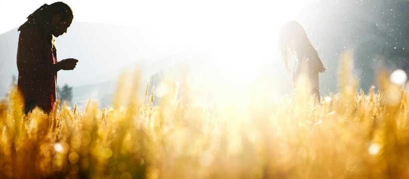 photographie d'un champ en plenoptique