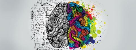 right-left-brain-genius-ss-1920-800x450 right-left-brain-genius-ss-1920-800x450