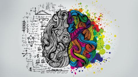 right-left-brain-genius-ss-1920-800x450