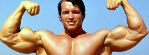 Arnold Arnold