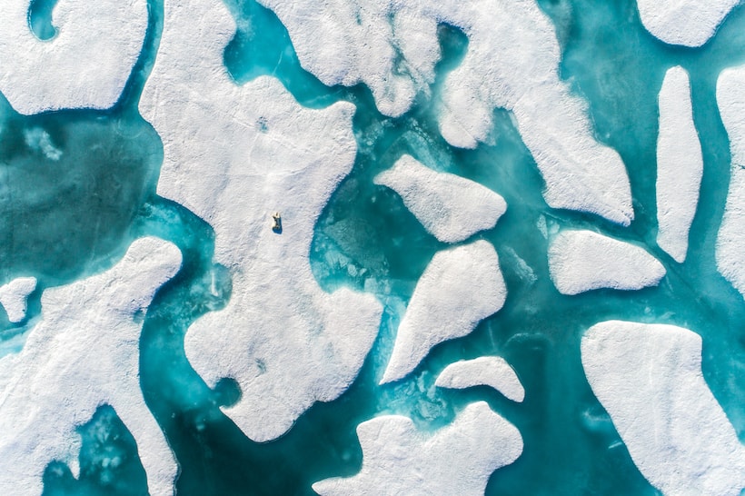 Photo : Florian Ledoux