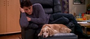Une scène de la série Friends, où Joey déprime avec un chien