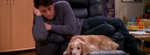 joeydeprime Une scène de la série Friends, où Joey déprime avec un chien
