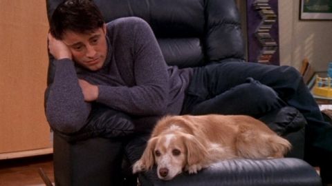 Une scène de la série Friends, où Joey déprime avec un chien