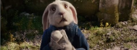 lapin-min lapin-min