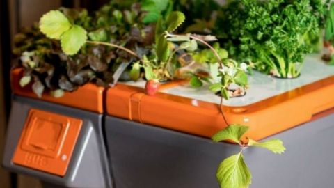 potager potager ultraponique