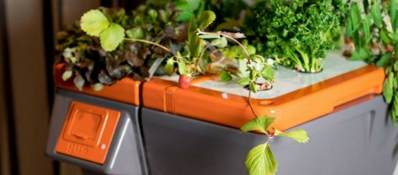potager potager ultraponique