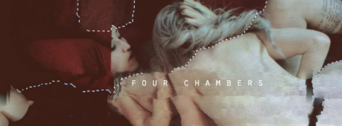 four chambers vex ashley four chambers vex ashley