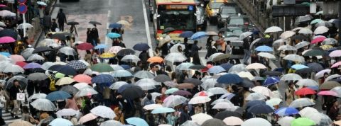 Des passants traversent a un passage protege