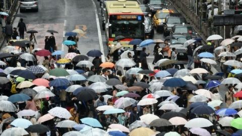 Des passants traversent a un passage protege