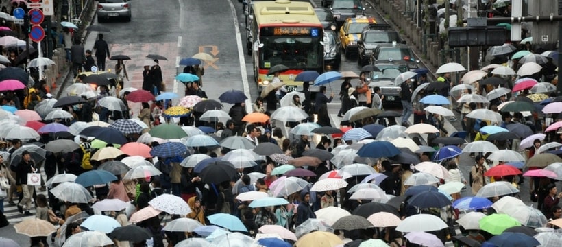 Des passants traversent a un passage protege