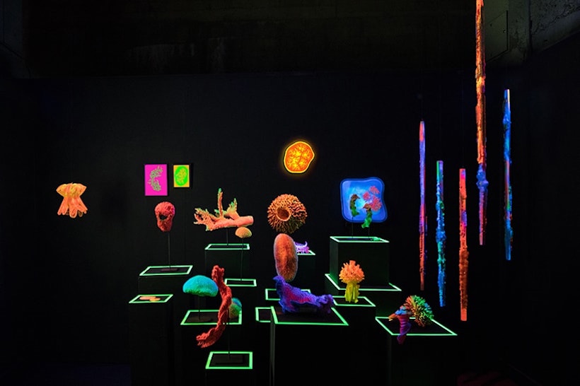 art numérique Miguel Chevalier