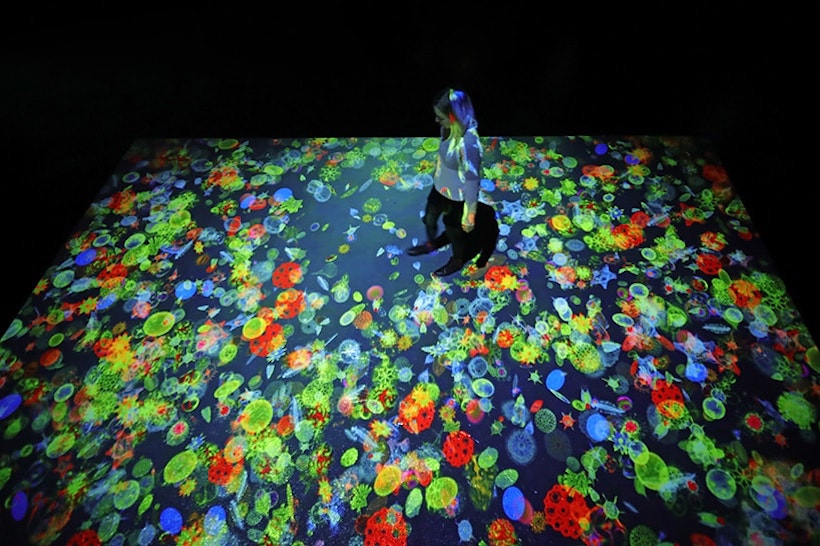 art numérique Miguel Chevalier