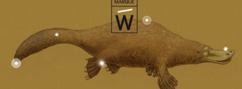 ecolemarquew un logo representant un ornythorynque