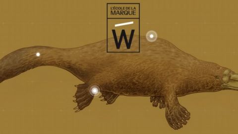 un logo representant un ornythorynque