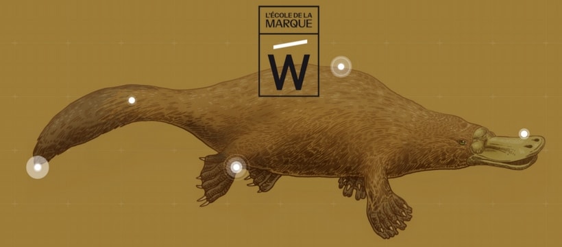 ecolemarquew un logo representant un ornythorynque