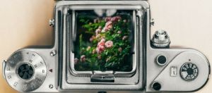 une plante pousse dans une machine