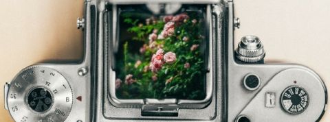 ecologietech une plante pousse dans une machine