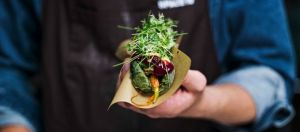 Ikea nourriture algues insectes