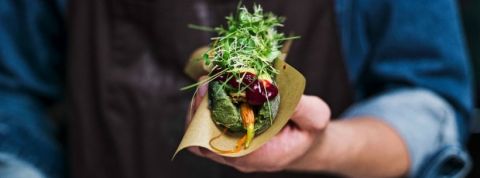 Ikea nourriture algues insectes