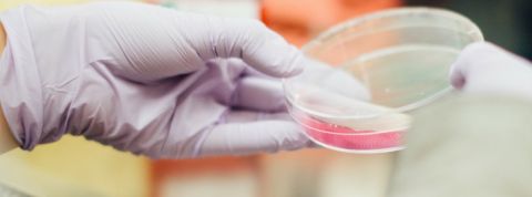 lab Un échantillon en laboratoire