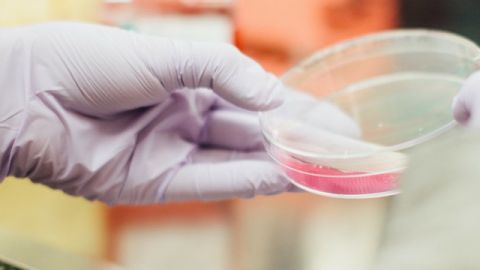 Un échantillon en laboratoire