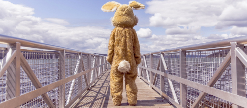 lapin