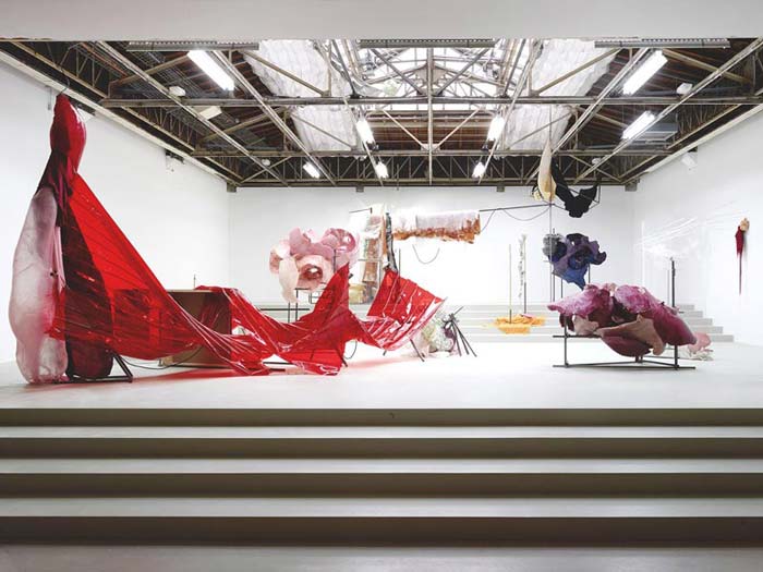 oeuvre de daiga grantina au palais de tokyo