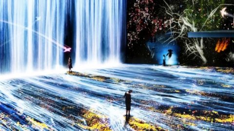 teamlab exposition art numérique