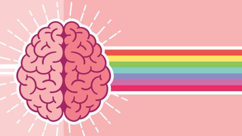 telecharger son cerveau Cerveau arc-en-ciel