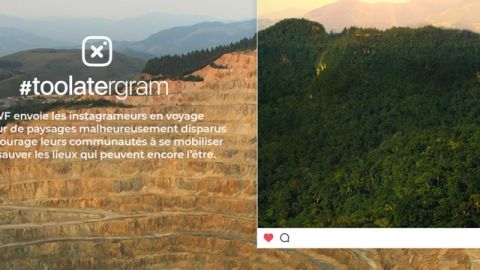 wwf la camapagne wwf #TooLatergram