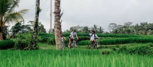 Des vacanciers dans un endroit peu peuplé