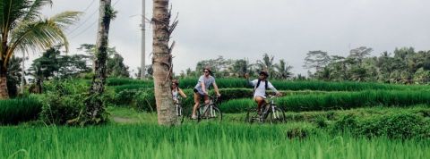 airbnb Des vacanciers dans un endroit peu peuplé