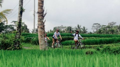 airbnb Des vacanciers dans un endroit peu peuplé
