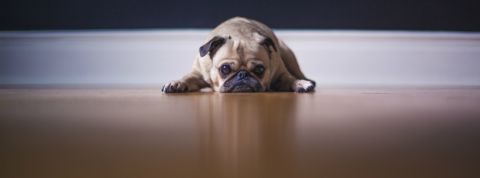 cambridge-analytica-victimes-apps